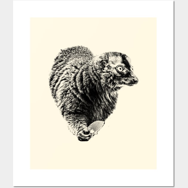 Lemur Wall Art by Guardi